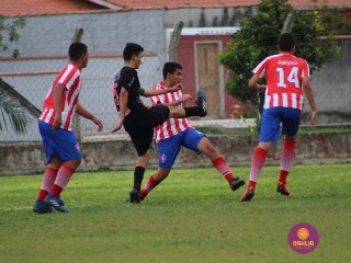 
<a style='margin-left: 5px;' class='btn btn-xs btn-social btn-facebook' href='https://www.facebook.com/sharer/sharer.php?u=https://www.boladovale.com.br/imgs/800-800-90/conteudo/fotos/1219/img0335.jpg' rel='popup' data-width='500' data-height='400'><i class='fa fa-facebook'></i>Compartilhar <span class='hidden-xs'>no Facebook</span>
</a> 
<a class='btn btn-default btn-xs' target='_blank' href='imgs/800-800-90/conteudo/fotos/1219/img0335.jpg'>
<span class='glyphicon glyphicon-cloud-download'></span> Salvar
</a> 
<span></span>
