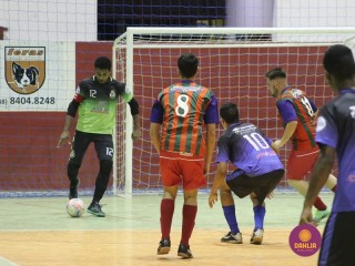 
<a style='margin-left: 5px;' class='btn btn-xs btn-social btn-facebook' href='https://www.facebook.com/sharer/sharer.php?u=https://www.boladovale.com.br/imgs/800-800-90/conteudo/fotos/1243/img0530.jpg' rel='popup' data-width='500' data-height='400'><i class='fa fa-facebook'></i>Compartilhar <span class='hidden-xs'>no Facebook</span>
</a> 
<a class='btn btn-default btn-xs' target='_blank' href='imgs/800-800-90/conteudo/fotos/1243/img0530.jpg'>
<span class='glyphicon glyphicon-cloud-download'></span> Salvar
</a> 
<span></span>