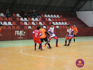 
<a style='margin-left: 5px;' class='btn btn-xs btn-social btn-facebook' href='https://www.facebook.com/sharer/sharer.php?u=https://www.boladovale.com.br/imgs/800-800-90/conteudo/fotos/1249/img6189.jpg' rel='popup' data-width='500' data-height='400'><i class='fa fa-facebook'></i>Compartilhar <span class='hidden-xs'>no Facebook</span>
</a> 
<a class='btn btn-default btn-xs' target='_blank' href='imgs/800-800-90/conteudo/fotos/1249/img6189.jpg'>
<span class='glyphicon glyphicon-cloud-download'></span> Salvar
</a> 
<span></span>