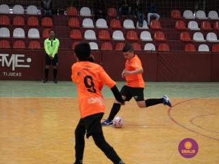 
<a style='margin-left: 5px;' class='btn btn-xs btn-social btn-facebook' href='https://www.facebook.com/sharer/sharer.php?u=https://www.boladovale.com.br/imgs/800-800-90/conteudo/fotos/1249/img6210.jpg' rel='popup' data-width='500' data-height='400'><i class='fa fa-facebook'></i>Compartilhar <span class='hidden-xs'>no Facebook</span>
</a> 
<a class='btn btn-default btn-xs' target='_blank' href='imgs/800-800-90/conteudo/fotos/1249/img6210.jpg'>
<span class='glyphicon glyphicon-cloud-download'></span> Salvar
</a> 
<span></span>