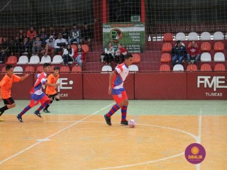 
<a style='margin-left: 5px;' class='btn btn-xs btn-social btn-facebook' href='https://www.facebook.com/sharer/sharer.php?u=https://www.boladovale.com.br/imgs/800-800-90/conteudo/fotos/1249/img6211.jpg' rel='popup' data-width='500' data-height='400'><i class='fa fa-facebook'></i>Compartilhar <span class='hidden-xs'>no Facebook</span>
</a> 
<a class='btn btn-default btn-xs' target='_blank' href='imgs/800-800-90/conteudo/fotos/1249/img6211.jpg'>
<span class='glyphicon glyphicon-cloud-download'></span> Salvar
</a> 
<span></span>