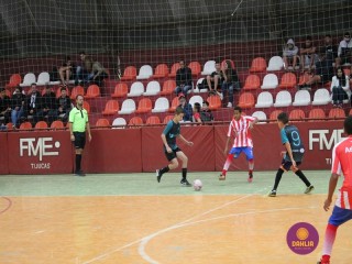 
<a style='margin-left: 5px;' class='btn btn-xs btn-social btn-facebook' href='https://www.facebook.com/sharer/sharer.php?u=https://www.boladovale.com.br/imgs/800-800-90/conteudo/fotos/1250/img6267.jpg' rel='popup' data-width='500' data-height='400'><i class='fa fa-facebook'></i>Compartilhar <span class='hidden-xs'>no Facebook</span>
</a> 
<a class='btn btn-default btn-xs' target='_blank' href='imgs/800-800-90/conteudo/fotos/1250/img6267.jpg'>
<span class='glyphicon glyphicon-cloud-download'></span> Salvar
</a> 
<span></span>