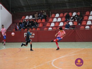 
<a style='margin-left: 5px;' class='btn btn-xs btn-social btn-facebook' href='https://www.facebook.com/sharer/sharer.php?u=https://www.boladovale.com.br/imgs/800-800-90/conteudo/fotos/1250/img6283.jpg' rel='popup' data-width='500' data-height='400'><i class='fa fa-facebook'></i>Compartilhar <span class='hidden-xs'>no Facebook</span>
</a> 
<a class='btn btn-default btn-xs' target='_blank' href='imgs/800-800-90/conteudo/fotos/1250/img6283.jpg'>
<span class='glyphicon glyphicon-cloud-download'></span> Salvar
</a> 
<span></span>