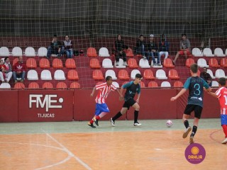 
<a style='margin-left: 5px;' class='btn btn-xs btn-social btn-facebook' href='https://www.facebook.com/sharer/sharer.php?u=https://www.boladovale.com.br/imgs/800-800-90/conteudo/fotos/1250/img6302.jpg' rel='popup' data-width='500' data-height='400'><i class='fa fa-facebook'></i>Compartilhar <span class='hidden-xs'>no Facebook</span>
</a> 
<a class='btn btn-default btn-xs' target='_blank' href='imgs/800-800-90/conteudo/fotos/1250/img6302.jpg'>
<span class='glyphicon glyphicon-cloud-download'></span> Salvar
</a> 
<span></span>