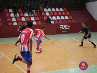 
<a style='margin-left: 5px;' class='btn btn-xs btn-social btn-facebook' href='https://www.facebook.com/sharer/sharer.php?u=https://www.boladovale.com.br/imgs/800-800-90/conteudo/fotos/1250/img6318.jpg' rel='popup' data-width='500' data-height='400'><i class='fa fa-facebook'></i>Compartilhar <span class='hidden-xs'>no Facebook</span>
</a> 
<a class='btn btn-default btn-xs' target='_blank' href='imgs/800-800-90/conteudo/fotos/1250/img6318.jpg'>
<span class='glyphicon glyphicon-cloud-download'></span> Salvar
</a> 
<span></span>
