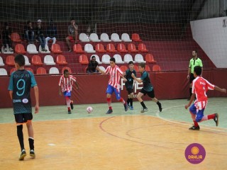 
<a style='margin-left: 5px;' class='btn btn-xs btn-social btn-facebook' href='https://www.facebook.com/sharer/sharer.php?u=https://www.boladovale.com.br/imgs/800-800-90/conteudo/fotos/1250/img6343.jpg' rel='popup' data-width='500' data-height='400'><i class='fa fa-facebook'></i>Compartilhar <span class='hidden-xs'>no Facebook</span>
</a> 
<a class='btn btn-default btn-xs' target='_blank' href='imgs/800-800-90/conteudo/fotos/1250/img6343.jpg'>
<span class='glyphicon glyphicon-cloud-download'></span> Salvar
</a> 
<span></span>