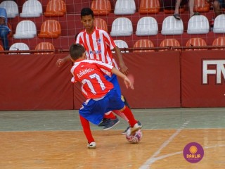 
<a style='margin-left: 5px;' class='btn btn-xs btn-social btn-facebook' href='https://www.facebook.com/sharer/sharer.php?u=https://www.boladovale.com.br/imgs/800-800-90/conteudo/fotos/1266/dsc01067.jpg' rel='popup' data-width='500' data-height='400'><i class='fa fa-facebook'></i>Compartilhar <span class='hidden-xs'>no Facebook</span>
</a> 
<a class='btn btn-default btn-xs' target='_blank' href='imgs/800-800-90/conteudo/fotos/1266/dsc01067.jpg'>
<span class='glyphicon glyphicon-cloud-download'></span> Salvar
</a> 
<span></span>
