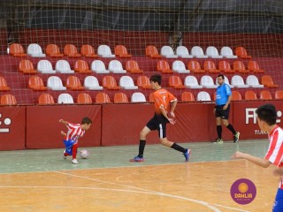
<a style='margin-left: 5px;' class='btn btn-xs btn-social btn-facebook' href='https://www.facebook.com/sharer/sharer.php?u=https://www.boladovale.com.br/imgs/800-800-90/conteudo/fotos/1266/dsc01070.jpg' rel='popup' data-width='500' data-height='400'><i class='fa fa-facebook'></i>Compartilhar <span class='hidden-xs'>no Facebook</span>
</a> 
<a class='btn btn-default btn-xs' target='_blank' href='imgs/800-800-90/conteudo/fotos/1266/dsc01070.jpg'>
<span class='glyphicon glyphicon-cloud-download'></span> Salvar
</a> 
<span></span>