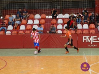 
<a style='margin-left: 5px;' class='btn btn-xs btn-social btn-facebook' href='https://www.facebook.com/sharer/sharer.php?u=https://www.boladovale.com.br/imgs/800-800-90/conteudo/fotos/1266/dsc01071.jpg' rel='popup' data-width='500' data-height='400'><i class='fa fa-facebook'></i>Compartilhar <span class='hidden-xs'>no Facebook</span>
</a> 
<a class='btn btn-default btn-xs' target='_blank' href='imgs/800-800-90/conteudo/fotos/1266/dsc01071.jpg'>
<span class='glyphicon glyphicon-cloud-download'></span> Salvar
</a> 
<span></span>