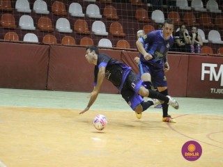 
<a style='margin-left: 5px;' class='btn btn-xs btn-social btn-facebook' href='https://www.facebook.com/sharer/sharer.php?u=https://www.boladovale.com.br/imgs/800-800-90/conteudo/fotos/1275/img2034.jpg' rel='popup' data-width='500' data-height='400'><i class='fa fa-facebook'></i>Compartilhar <span class='hidden-xs'>no Facebook</span>
</a> 
<a class='btn btn-default btn-xs' target='_blank' href='imgs/800-800-90/conteudo/fotos/1275/img2034.jpg'>
<span class='glyphicon glyphicon-cloud-download'></span> Salvar
</a> 
<span></span>