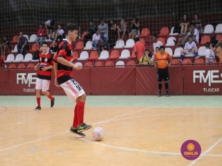 
<a style='margin-left: 5px;' class='btn btn-xs btn-social btn-facebook' href='https://www.facebook.com/sharer/sharer.php?u=https://www.boladovale.com.br/imgs/800-800-90/conteudo/fotos/1283/img2850.jpg' rel='popup' data-width='500' data-height='400'><i class='fa fa-facebook'></i>Compartilhar <span class='hidden-xs'>no Facebook</span>
</a> 
<a class='btn btn-default btn-xs' target='_blank' href='imgs/800-800-90/conteudo/fotos/1283/img2850.jpg'>
<span class='glyphicon glyphicon-cloud-download'></span> Salvar
</a> 
<span></span>