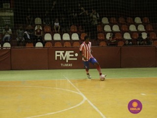 
<a style='margin-left: 5px;' class='btn btn-xs btn-social btn-facebook' href='https://www.facebook.com/sharer/sharer.php?u=https://www.boladovale.com.br/imgs/800-800-90/conteudo/fotos/1286/mg4631.jpg' rel='popup' data-width='500' data-height='400'><i class='fa fa-facebook'></i>Compartilhar <span class='hidden-xs'>no Facebook</span>
</a> 
<a class='btn btn-default btn-xs' target='_blank' href='imgs/800-800-90/conteudo/fotos/1286/mg4631.jpg'>
<span class='glyphicon glyphicon-cloud-download'></span> Salvar
</a> 
<span></span>
