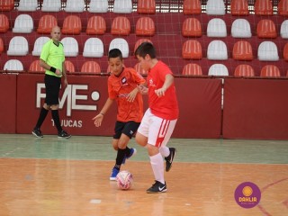 
<a style='margin-left: 5px;' class='btn btn-xs btn-social btn-facebook' href='https://www.facebook.com/sharer/sharer.php?u=https://www.boladovale.com.br/imgs/800-800-90/conteudo/fotos/1299/img5648.jpg' rel='popup' data-width='500' data-height='400'><i class='fa fa-facebook'></i>Compartilhar <span class='hidden-xs'>no Facebook</span>
</a> 
<a class='btn btn-default btn-xs' target='_blank' href='imgs/800-800-90/conteudo/fotos/1299/img5648.jpg'>
<span class='glyphicon glyphicon-cloud-download'></span> Salvar
</a> 
<span></span>