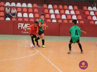 
<a style='margin-left: 5px;' class='btn btn-xs btn-social btn-facebook' href='https://www.facebook.com/sharer/sharer.php?u=https://www.boladovale.com.br/imgs/800-800-90/conteudo/fotos/1299/img6948.jpg' rel='popup' data-width='500' data-height='400'><i class='fa fa-facebook'></i>Compartilhar <span class='hidden-xs'>no Facebook</span>
</a> 
<a class='btn btn-default btn-xs' target='_blank' href='imgs/800-800-90/conteudo/fotos/1299/img6948.jpg'>
<span class='glyphicon glyphicon-cloud-download'></span> Salvar
</a> 
<span></span>