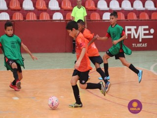 
<a style='margin-left: 5px;' class='btn btn-xs btn-social btn-facebook' href='https://www.facebook.com/sharer/sharer.php?u=https://www.boladovale.com.br/imgs/800-800-90/conteudo/fotos/1299/img6985.jpg' rel='popup' data-width='500' data-height='400'><i class='fa fa-facebook'></i>Compartilhar <span class='hidden-xs'>no Facebook</span>
</a> 
<a class='btn btn-default btn-xs' target='_blank' href='imgs/800-800-90/conteudo/fotos/1299/img6985.jpg'>
<span class='glyphicon glyphicon-cloud-download'></span> Salvar
</a> 
<span></span>