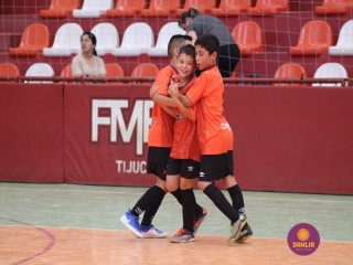 
<a style='margin-left: 5px;' class='btn btn-xs btn-social btn-facebook' href='https://www.facebook.com/sharer/sharer.php?u=https://www.boladovale.com.br/imgs/800-800-90/conteudo/fotos/1299/img7214.jpg' rel='popup' data-width='500' data-height='400'><i class='fa fa-facebook'></i>Compartilhar <span class='hidden-xs'>no Facebook</span>
</a> 
<a class='btn btn-default btn-xs' target='_blank' href='imgs/800-800-90/conteudo/fotos/1299/img7214.jpg'>
<span class='glyphicon glyphicon-cloud-download'></span> Salvar
</a> 
<span></span>