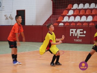 
<a style='margin-left: 5px;' class='btn btn-xs btn-social btn-facebook' href='https://www.facebook.com/sharer/sharer.php?u=https://www.boladovale.com.br/imgs/800-800-90/conteudo/fotos/1299/img7225.jpg' rel='popup' data-width='500' data-height='400'><i class='fa fa-facebook'></i>Compartilhar <span class='hidden-xs'>no Facebook</span>
</a> 
<a class='btn btn-default btn-xs' target='_blank' href='imgs/800-800-90/conteudo/fotos/1299/img7225.jpg'>
<span class='glyphicon glyphicon-cloud-download'></span> Salvar
</a> 
<span></span>