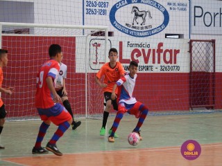
<a style='margin-left: 5px;' class='btn btn-xs btn-social btn-facebook' href='https://www.facebook.com/sharer/sharer.php?u=https://www.boladovale.com.br/imgs/800-800-90/conteudo/fotos/1301/img7511.jpg' rel='popup' data-width='500' data-height='400'><i class='fa fa-facebook'></i>Compartilhar <span class='hidden-xs'>no Facebook</span>
</a> 
<a class='btn btn-default btn-xs' target='_blank' href='imgs/800-800-90/conteudo/fotos/1301/img7511.jpg'>
<span class='glyphicon glyphicon-cloud-download'></span> Salvar
</a> 
<span></span>
