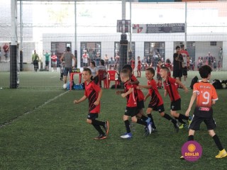 
<a style='margin-left: 5px;' class='btn btn-xs btn-social btn-facebook' href='https://www.facebook.com/sharer/sharer.php?u=https://www.boladovale.com.br/imgs/800-800-90/conteudo/fotos/1362/img8764.jpg' rel='popup' data-width='500' data-height='400'><i class='fa fa-facebook'></i>Compartilhar <span class='hidden-xs'>no Facebook</span>
</a> 
<a class='btn btn-default btn-xs' target='_blank' href='imgs/800-800-90/conteudo/fotos/1362/img8764.jpg'>
<span class='glyphicon glyphicon-cloud-download'></span> Salvar
</a> 
<span></span>