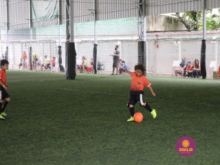 
<a style='margin-left: 5px;' class='btn btn-xs btn-social btn-facebook' href='https://www.facebook.com/sharer/sharer.php?u=https://www.boladovale.com.br/imgs/800-800-90/conteudo/fotos/1362/img8766.jpg' rel='popup' data-width='500' data-height='400'><i class='fa fa-facebook'></i>Compartilhar <span class='hidden-xs'>no Facebook</span>
</a> 
<a class='btn btn-default btn-xs' target='_blank' href='imgs/800-800-90/conteudo/fotos/1362/img8766.jpg'>
<span class='glyphicon glyphicon-cloud-download'></span> Salvar
</a> 
<span></span>