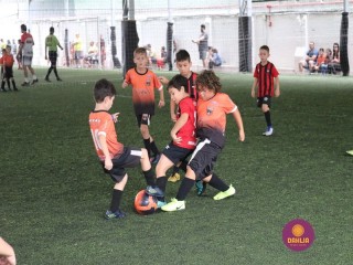 
<a style='margin-left: 5px;' class='btn btn-xs btn-social btn-facebook' href='https://www.facebook.com/sharer/sharer.php?u=https://www.boladovale.com.br/imgs/800-800-90/conteudo/fotos/1362/img8779.jpg' rel='popup' data-width='500' data-height='400'><i class='fa fa-facebook'></i>Compartilhar <span class='hidden-xs'>no Facebook</span>
</a> 
<a class='btn btn-default btn-xs' target='_blank' href='imgs/800-800-90/conteudo/fotos/1362/img8779.jpg'>
<span class='glyphicon glyphicon-cloud-download'></span> Salvar
</a> 
<span></span>