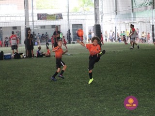 
<a style='margin-left: 5px;' class='btn btn-xs btn-social btn-facebook' href='https://www.facebook.com/sharer/sharer.php?u=https://www.boladovale.com.br/imgs/800-800-90/conteudo/fotos/1362/img8786.jpg' rel='popup' data-width='500' data-height='400'><i class='fa fa-facebook'></i>Compartilhar <span class='hidden-xs'>no Facebook</span>
</a> 
<a class='btn btn-default btn-xs' target='_blank' href='imgs/800-800-90/conteudo/fotos/1362/img8786.jpg'>
<span class='glyphicon glyphicon-cloud-download'></span> Salvar
</a> 
<span></span>