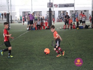 
<a style='margin-left: 5px;' class='btn btn-xs btn-social btn-facebook' href='https://www.facebook.com/sharer/sharer.php?u=https://www.boladovale.com.br/imgs/800-800-90/conteudo/fotos/1362/img8793.jpg' rel='popup' data-width='500' data-height='400'><i class='fa fa-facebook'></i>Compartilhar <span class='hidden-xs'>no Facebook</span>
</a> 
<a class='btn btn-default btn-xs' target='_blank' href='imgs/800-800-90/conteudo/fotos/1362/img8793.jpg'>
<span class='glyphicon glyphicon-cloud-download'></span> Salvar
</a> 
<span></span>