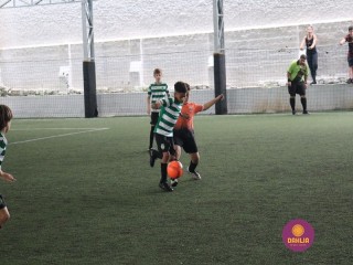 
<a style='margin-left: 5px;' class='btn btn-xs btn-social btn-facebook' href='https://www.facebook.com/sharer/sharer.php?u=https://www.boladovale.com.br/imgs/800-800-90/conteudo/fotos/1362/img8995.jpg' rel='popup' data-width='500' data-height='400'><i class='fa fa-facebook'></i>Compartilhar <span class='hidden-xs'>no Facebook</span>
</a> 
<a class='btn btn-default btn-xs' target='_blank' href='imgs/800-800-90/conteudo/fotos/1362/img8995.jpg'>
<span class='glyphicon glyphicon-cloud-download'></span> Salvar
</a> 
<span></span>