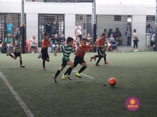 
<a style='margin-left: 5px;' class='btn btn-xs btn-social btn-facebook' href='https://www.facebook.com/sharer/sharer.php?u=https://www.boladovale.com.br/imgs/800-800-90/conteudo/fotos/1362/img8996.jpg' rel='popup' data-width='500' data-height='400'><i class='fa fa-facebook'></i>Compartilhar <span class='hidden-xs'>no Facebook</span>
</a> 
<a class='btn btn-default btn-xs' target='_blank' href='imgs/800-800-90/conteudo/fotos/1362/img8996.jpg'>
<span class='glyphicon glyphicon-cloud-download'></span> Salvar
</a> 
<span></span>