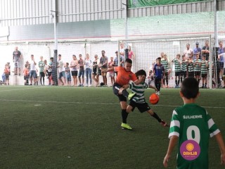 
<a style='margin-left: 5px;' class='btn btn-xs btn-social btn-facebook' href='https://www.facebook.com/sharer/sharer.php?u=https://www.boladovale.com.br/imgs/800-800-90/conteudo/fotos/1362/img9005.jpg' rel='popup' data-width='500' data-height='400'><i class='fa fa-facebook'></i>Compartilhar <span class='hidden-xs'>no Facebook</span>
</a> 
<a class='btn btn-default btn-xs' target='_blank' href='imgs/800-800-90/conteudo/fotos/1362/img9005.jpg'>
<span class='glyphicon glyphicon-cloud-download'></span> Salvar
</a> 
<span></span>