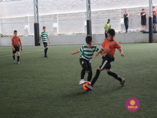 
<a style='margin-left: 5px;' class='btn btn-xs btn-social btn-facebook' href='https://www.facebook.com/sharer/sharer.php?u=https://www.boladovale.com.br/imgs/800-800-90/conteudo/fotos/1362/img9010.jpg' rel='popup' data-width='500' data-height='400'><i class='fa fa-facebook'></i>Compartilhar <span class='hidden-xs'>no Facebook</span>
</a> 
<a class='btn btn-default btn-xs' target='_blank' href='imgs/800-800-90/conteudo/fotos/1362/img9010.jpg'>
<span class='glyphicon glyphicon-cloud-download'></span> Salvar
</a> 
<span></span>