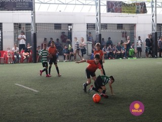 
<a style='margin-left: 5px;' class='btn btn-xs btn-social btn-facebook' href='https://www.facebook.com/sharer/sharer.php?u=https://www.boladovale.com.br/imgs/800-800-90/conteudo/fotos/1362/img9022.jpg' rel='popup' data-width='500' data-height='400'><i class='fa fa-facebook'></i>Compartilhar <span class='hidden-xs'>no Facebook</span>
</a> 
<a class='btn btn-default btn-xs' target='_blank' href='imgs/800-800-90/conteudo/fotos/1362/img9022.jpg'>
<span class='glyphicon glyphicon-cloud-download'></span> Salvar
</a> 
<span></span>