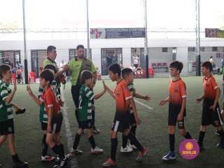 
<a style='margin-left: 5px;' class='btn btn-xs btn-social btn-facebook' href='https://www.facebook.com/sharer/sharer.php?u=https://www.boladovale.com.br/imgs/800-800-90/conteudo/fotos/1362/img9035.jpg' rel='popup' data-width='500' data-height='400'><i class='fa fa-facebook'></i>Compartilhar <span class='hidden-xs'>no Facebook</span>
</a> 
<a class='btn btn-default btn-xs' target='_blank' href='imgs/800-800-90/conteudo/fotos/1362/img9035.jpg'>
<span class='glyphicon glyphicon-cloud-download'></span> Salvar
</a> 
<span></span>