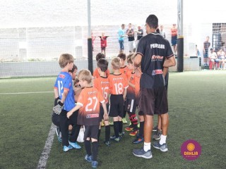 
<a style='margin-left: 5px;' class='btn btn-xs btn-social btn-facebook' href='https://www.facebook.com/sharer/sharer.php?u=https://www.boladovale.com.br/imgs/800-800-90/conteudo/fotos/1362/img9074.jpg' rel='popup' data-width='500' data-height='400'><i class='fa fa-facebook'></i>Compartilhar <span class='hidden-xs'>no Facebook</span>
</a> 
<a class='btn btn-default btn-xs' target='_blank' href='imgs/800-800-90/conteudo/fotos/1362/img9074.jpg'>
<span class='glyphicon glyphicon-cloud-download'></span> Salvar
</a> 
<span></span>