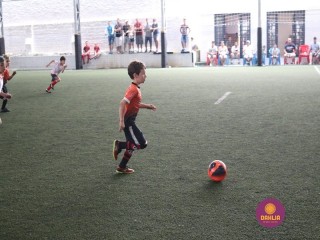 
<a style='margin-left: 5px;' class='btn btn-xs btn-social btn-facebook' href='https://www.facebook.com/sharer/sharer.php?u=https://www.boladovale.com.br/imgs/800-800-90/conteudo/fotos/1362/img9099.jpg' rel='popup' data-width='500' data-height='400'><i class='fa fa-facebook'></i>Compartilhar <span class='hidden-xs'>no Facebook</span>
</a> 
<a class='btn btn-default btn-xs' target='_blank' href='imgs/800-800-90/conteudo/fotos/1362/img9099.jpg'>
<span class='glyphicon glyphicon-cloud-download'></span> Salvar
</a> 
<span></span>