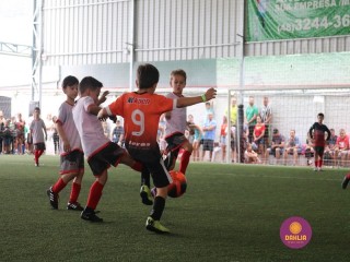 
<a style='margin-left: 5px;' class='btn btn-xs btn-social btn-facebook' href='https://www.facebook.com/sharer/sharer.php?u=https://www.boladovale.com.br/imgs/800-800-90/conteudo/fotos/1362/img9112.jpg' rel='popup' data-width='500' data-height='400'><i class='fa fa-facebook'></i>Compartilhar <span class='hidden-xs'>no Facebook</span>
</a> 
<a class='btn btn-default btn-xs' target='_blank' href='imgs/800-800-90/conteudo/fotos/1362/img9112.jpg'>
<span class='glyphicon glyphicon-cloud-download'></span> Salvar
</a> 
<span></span>
