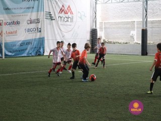 
<a style='margin-left: 5px;' class='btn btn-xs btn-social btn-facebook' href='https://www.facebook.com/sharer/sharer.php?u=https://www.boladovale.com.br/imgs/800-800-90/conteudo/fotos/1362/img9119.jpg' rel='popup' data-width='500' data-height='400'><i class='fa fa-facebook'></i>Compartilhar <span class='hidden-xs'>no Facebook</span>
</a> 
<a class='btn btn-default btn-xs' target='_blank' href='imgs/800-800-90/conteudo/fotos/1362/img9119.jpg'>
<span class='glyphicon glyphicon-cloud-download'></span> Salvar
</a> 
<span></span>