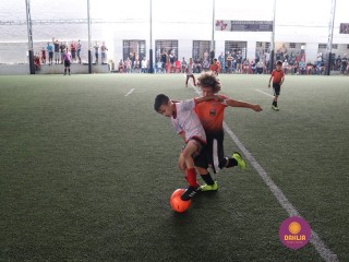 
<a style='margin-left: 5px;' class='btn btn-xs btn-social btn-facebook' href='https://www.facebook.com/sharer/sharer.php?u=https://www.boladovale.com.br/imgs/800-800-90/conteudo/fotos/1362/img9135.jpg' rel='popup' data-width='500' data-height='400'><i class='fa fa-facebook'></i>Compartilhar <span class='hidden-xs'>no Facebook</span>
</a> 
<a class='btn btn-default btn-xs' target='_blank' href='imgs/800-800-90/conteudo/fotos/1362/img9135.jpg'>
<span class='glyphicon glyphicon-cloud-download'></span> Salvar
</a> 
<span></span>