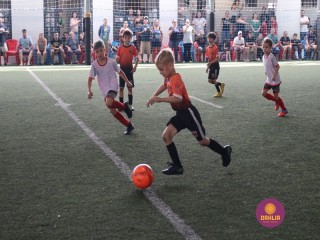 
<a style='margin-left: 5px;' class='btn btn-xs btn-social btn-facebook' href='https://www.facebook.com/sharer/sharer.php?u=https://www.boladovale.com.br/imgs/800-800-90/conteudo/fotos/1362/img9141.jpg' rel='popup' data-width='500' data-height='400'><i class='fa fa-facebook'></i>Compartilhar <span class='hidden-xs'>no Facebook</span>
</a> 
<a class='btn btn-default btn-xs' target='_blank' href='imgs/800-800-90/conteudo/fotos/1362/img9141.jpg'>
<span class='glyphicon glyphicon-cloud-download'></span> Salvar
</a> 
<span></span>