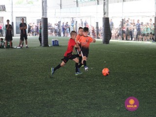 
<a style='margin-left: 5px;' class='btn btn-xs btn-social btn-facebook' href='https://www.facebook.com/sharer/sharer.php?u=https://www.boladovale.com.br/imgs/800-800-90/conteudo/fotos/1362/img9186.jpg' rel='popup' data-width='500' data-height='400'><i class='fa fa-facebook'></i>Compartilhar <span class='hidden-xs'>no Facebook</span>
</a> 
<a class='btn btn-default btn-xs' target='_blank' href='imgs/800-800-90/conteudo/fotos/1362/img9186.jpg'>
<span class='glyphicon glyphicon-cloud-download'></span> Salvar
</a> 
<span></span>