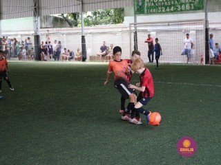 
<a style='margin-left: 5px;' class='btn btn-xs btn-social btn-facebook' href='https://www.facebook.com/sharer/sharer.php?u=https://www.boladovale.com.br/imgs/800-800-90/conteudo/fotos/1362/img9199.jpg' rel='popup' data-width='500' data-height='400'><i class='fa fa-facebook'></i>Compartilhar <span class='hidden-xs'>no Facebook</span>
</a> 
<a class='btn btn-default btn-xs' target='_blank' href='imgs/800-800-90/conteudo/fotos/1362/img9199.jpg'>
<span class='glyphicon glyphicon-cloud-download'></span> Salvar
</a> 
<span></span>