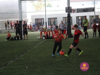 
<a style='margin-left: 5px;' class='btn btn-xs btn-social btn-facebook' href='https://www.facebook.com/sharer/sharer.php?u=https://www.boladovale.com.br/imgs/800-800-90/conteudo/fotos/1362/img9208.jpg' rel='popup' data-width='500' data-height='400'><i class='fa fa-facebook'></i>Compartilhar <span class='hidden-xs'>no Facebook</span>
</a> 
<a class='btn btn-default btn-xs' target='_blank' href='imgs/800-800-90/conteudo/fotos/1362/img9208.jpg'>
<span class='glyphicon glyphicon-cloud-download'></span> Salvar
</a> 
<span></span>