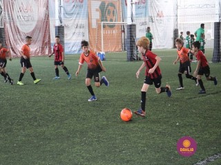 
<a style='margin-left: 5px;' class='btn btn-xs btn-social btn-facebook' href='https://www.facebook.com/sharer/sharer.php?u=https://www.boladovale.com.br/imgs/800-800-90/conteudo/fotos/1362/img9213.jpg' rel='popup' data-width='500' data-height='400'><i class='fa fa-facebook'></i>Compartilhar <span class='hidden-xs'>no Facebook</span>
</a> 
<a class='btn btn-default btn-xs' target='_blank' href='imgs/800-800-90/conteudo/fotos/1362/img9213.jpg'>
<span class='glyphicon glyphicon-cloud-download'></span> Salvar
</a> 
<span></span>