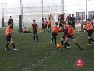 
<a style='margin-left: 5px;' class='btn btn-xs btn-social btn-facebook' href='https://www.facebook.com/sharer/sharer.php?u=https://www.boladovale.com.br/imgs/800-800-90/conteudo/fotos/1362/img9225.jpg' rel='popup' data-width='500' data-height='400'><i class='fa fa-facebook'></i>Compartilhar <span class='hidden-xs'>no Facebook</span>
</a> 
<a class='btn btn-default btn-xs' target='_blank' href='imgs/800-800-90/conteudo/fotos/1362/img9225.jpg'>
<span class='glyphicon glyphicon-cloud-download'></span> Salvar
</a> 
<span></span>