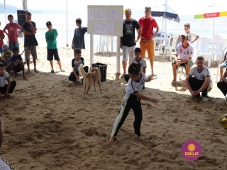 
<a style='margin-left: 5px;' class='btn btn-xs btn-social btn-facebook' href='https://www.facebook.com/sharer/sharer.php?u=https://www.boladovale.com.br/imgs/800-800-90/conteudo/fotos/1375/img2943.jpg' rel='popup' data-width='500' data-height='400'><i class='fa fa-facebook'></i>Compartilhar <span class='hidden-xs'>no Facebook</span>
</a> 
<a class='btn btn-default btn-xs' target='_blank' href='imgs/800-800-90/conteudo/fotos/1375/img2943.jpg'>
<span class='glyphicon glyphicon-cloud-download'></span> Salvar
</a> 
<span></span>