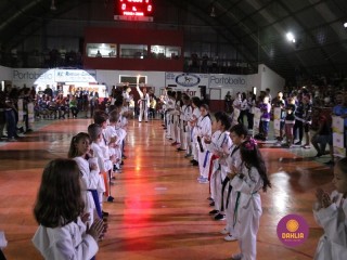 
<a style='margin-left: 5px;' class='btn btn-xs btn-social btn-facebook' href='https://www.facebook.com/sharer/sharer.php?u=https://www.boladovale.com.br/imgs/800-800-90/conteudo/fotos/1381/img4324.jpg' rel='popup' data-width='500' data-height='400'><i class='fa fa-facebook'></i>Compartilhar <span class='hidden-xs'>no Facebook</span>
</a> 
<a class='btn btn-default btn-xs' target='_blank' href='imgs/800-800-90/conteudo/fotos/1381/img4324.jpg'>
<span class='glyphicon glyphicon-cloud-download'></span> Salvar
</a> 
<span></span>