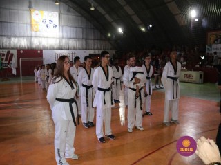 
<a style='margin-left: 5px;' class='btn btn-xs btn-social btn-facebook' href='https://www.facebook.com/sharer/sharer.php?u=https://www.boladovale.com.br/imgs/800-800-90/conteudo/fotos/1381/img4416.jpg' rel='popup' data-width='500' data-height='400'><i class='fa fa-facebook'></i>Compartilhar <span class='hidden-xs'>no Facebook</span>
</a> 
<a class='btn btn-default btn-xs' target='_blank' href='imgs/800-800-90/conteudo/fotos/1381/img4416.jpg'>
<span class='glyphicon glyphicon-cloud-download'></span> Salvar
</a> 
<span></span>