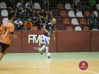 
<a style='margin-left: 5px;' class='btn btn-xs btn-social btn-facebook' href='https://www.facebook.com/sharer/sharer.php?u=https://www.boladovale.com.br/imgs/800-800-90/conteudo/fotos/1383/img4528.jpg' rel='popup' data-width='500' data-height='400'><i class='fa fa-facebook'></i>Compartilhar <span class='hidden-xs'>no Facebook</span>
</a> 
<a class='btn btn-default btn-xs' target='_blank' href='imgs/800-800-90/conteudo/fotos/1383/img4528.jpg'>
<span class='glyphicon glyphicon-cloud-download'></span> Salvar
</a> 
<span></span>