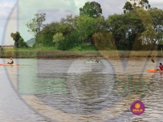 
<a style='margin-left: 5px;' class='btn btn-xs btn-social btn-facebook' href='https://www.facebook.com/sharer/sharer.php?u=https://www.boladovale.com.br/imgs/800-800-90/conteudo/fotos/1421/img3607.jpg' rel='popup' data-width='500' data-height='400'><i class='fa fa-facebook'></i>Compartilhar <span class='hidden-xs'>no Facebook</span>
</a> 
<a class='btn btn-default btn-xs' target='_blank' href='imgs/800-800-90/conteudo/fotos/1421/img3607.jpg'>
<span class='glyphicon glyphicon-cloud-download'></span> Salvar
</a> 
<span></span>
