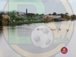
<a style='margin-left: 5px;' class='btn btn-xs btn-social btn-facebook' href='https://www.facebook.com/sharer/sharer.php?u=https://www.boladovale.com.br/imgs/800-800-90/conteudo/fotos/1421/img6427.jpg' rel='popup' data-width='500' data-height='400'><i class='fa fa-facebook'></i>Compartilhar <span class='hidden-xs'>no Facebook</span>
</a> 
<a class='btn btn-default btn-xs' target='_blank' href='imgs/800-800-90/conteudo/fotos/1421/img6427.jpg'>
<span class='glyphicon glyphicon-cloud-download'></span> Salvar
</a> 
<span></span>